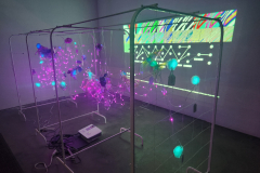 The Neural Net at Night Light 2025